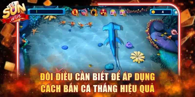Đôi điều cần biết để áp dụng cách bắn cá thắng hiệu quả