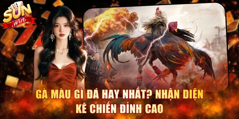 Gà Màu Gì Đá Hay Nhất