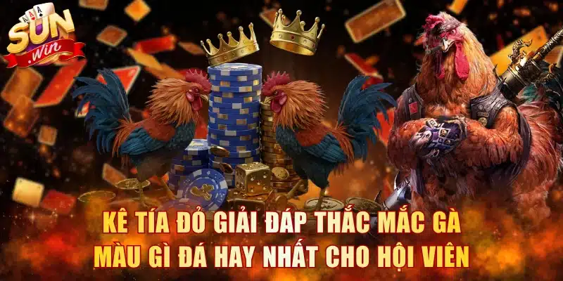 Kê tía đỏ giải đáp thắc mắc gà màu gì đá hay nhất cho hội viên