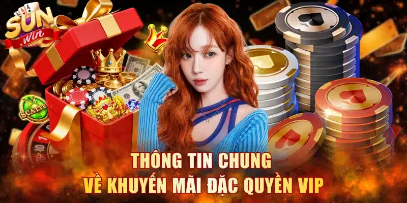 Thông tin chung về khuyến mãi đặc quyền VIP